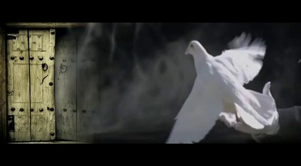 Sháh Ebne Shin | Tará Cha Pésh