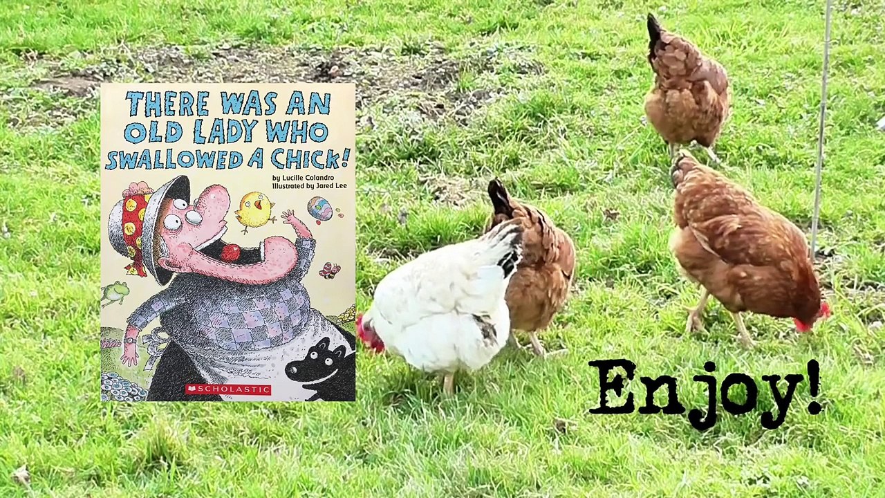 There Was An Old Lady Who Swallowed A Chick!
