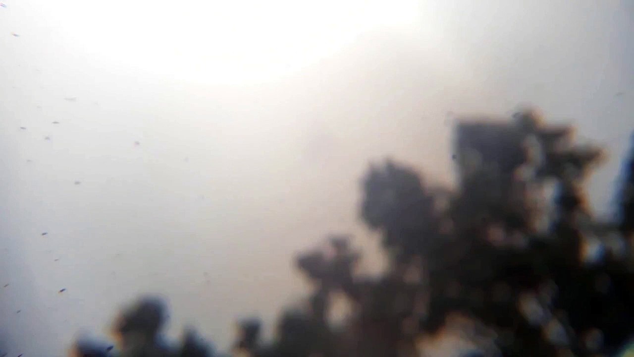 March 28 NIBIRU Sighting Texas Sky Planet X Wormwood The Incoming Planets