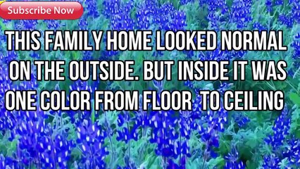 This Family Home Looked Normal  But Wait Untill You See What Inside WOW