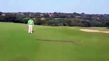 A esta serpiente pitón gigante le gusta el golf