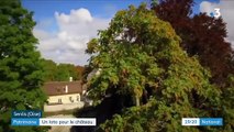 Patrimoine : un loto pour sauver le château de Senlis