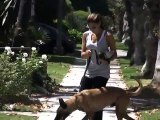 Eva Mendes Gets Some Sun While Walking Her Dog [2009]