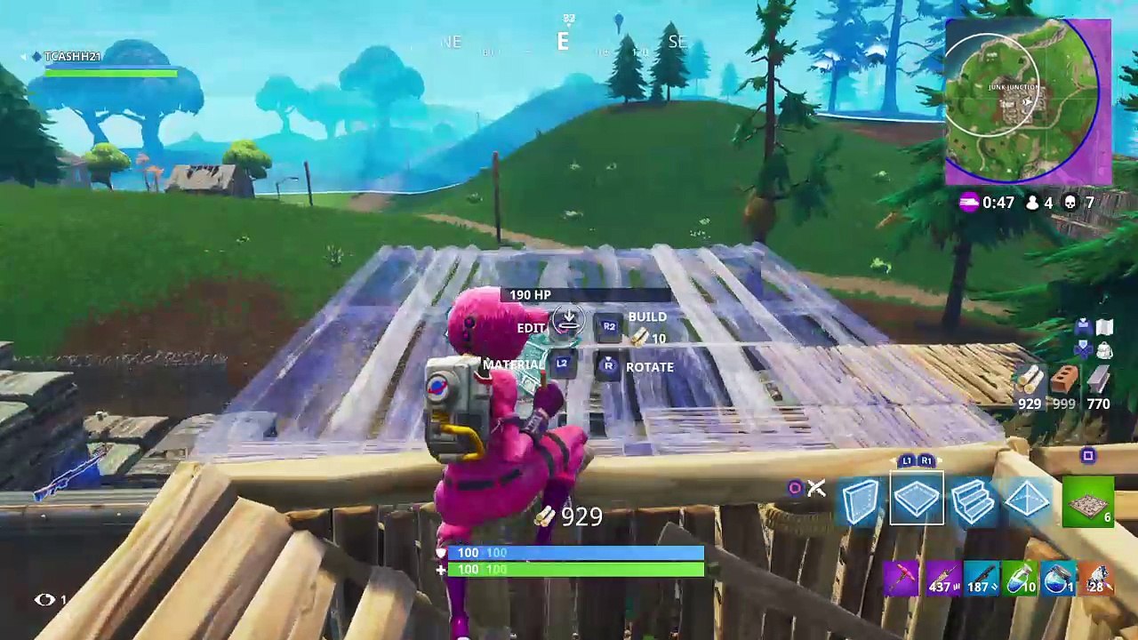 Fortnite #30