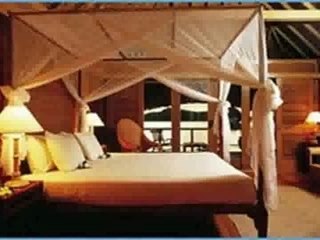 Great Business Opportunity- must see!