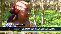 Uganda revives coffee sector while Angola trims May crude exports [Business Africa]