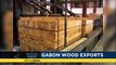 Wood industry in Gabon faces almost 80% decline in tax revenue [Business Africa]