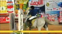 Libya revives equestrian tradition, host horse-riding tournament