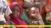 UN warns of deepening humanitarian crisis in Lake Chad Basin