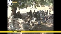 4 Chadian troops killed in Boko Haram attack