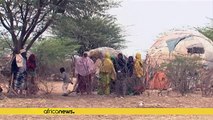 5 million Somalis face food insecurity