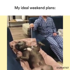 My ideal weekend plans: