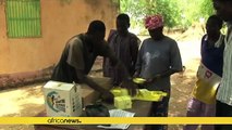 WHO: Yellow fever outbreaks in Congo, Angola under control