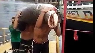 Vídeo mostra homens carregando 'monstro do rio' no Porto de Manaus; Veja vídeo