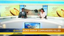 Boko Haram commanders killed in airstrike [The Morning Call]