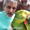Crazy cockatoos, peculiar parrots, and marvelous macaws! 