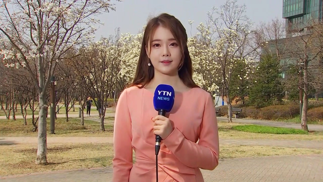 [날씨] 쾌청한 금요일...따뜻한 날씨에 봄꽃 활짝 / YTN