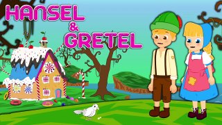 2 CONTES - Hansel et Gretel + Les 12 Princesses  - dessins animés pour Enfants -