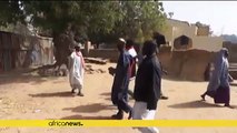Bloody weekend as Boko Haram strikes Chad, Nigeria