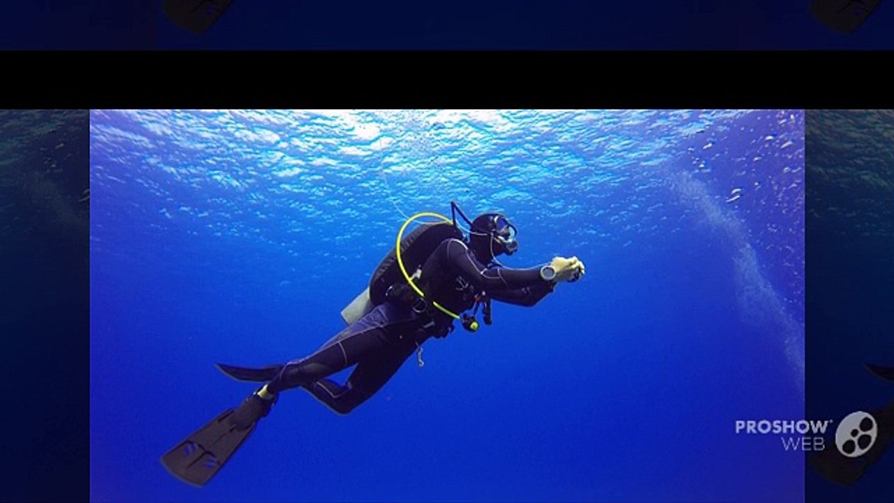 Tips to Choose Suitable Apparels for Diving