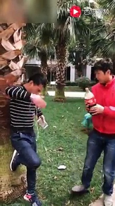 funny videos compilation