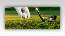 Importance of HeadCovers and Other Golf Club Accessories