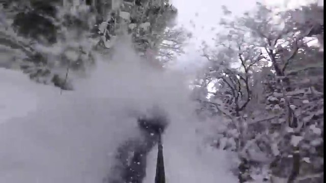 Le rêve : foncer en ski à travers une forêt pleine de poudreuse !