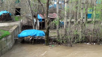 Habur Çayı taştı... Tahta köprüler yıkıldı, arsa ve patika yolları sular altında kaldı