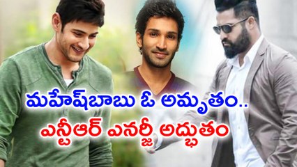 Rangasthalam Event : Aadi Pinisetty Praises Mahesh & NTR