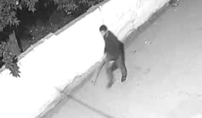 Hırsız 3 koyunu bahçeden böyle çaldı