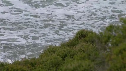 Adrénaline - Surf : Rip Curl Pro Bells Beach, Men's Championship Tour - Round 1 heat 1