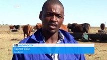 Südafrika: Folgen des Klimawandels | DW News