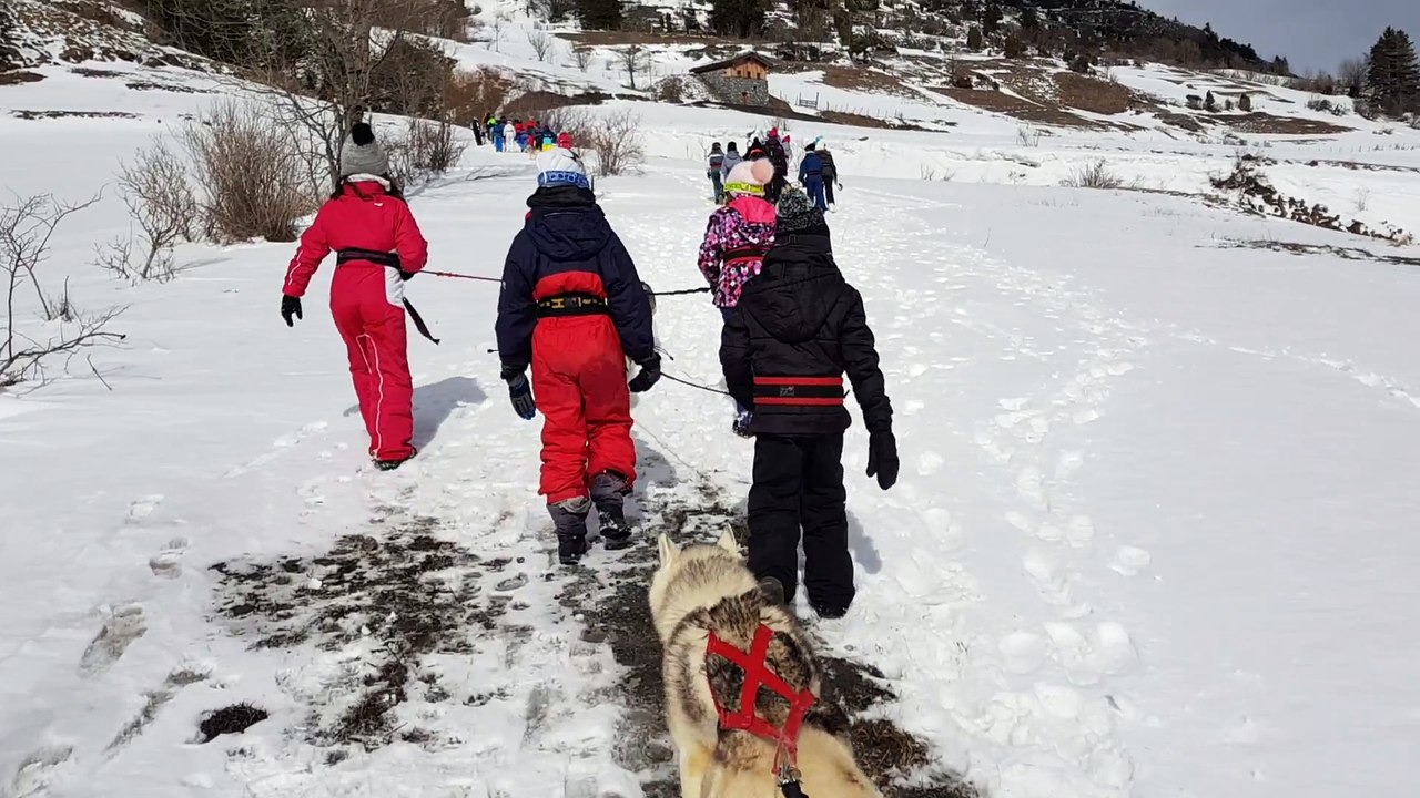 Cani-rando classe de neige