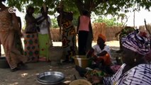 Bauern wollen Senegals Böden retten | Global 3000