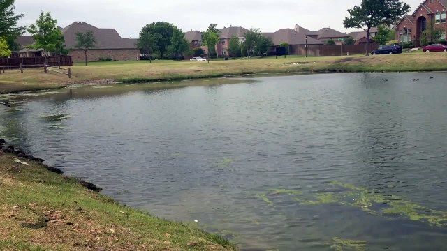 Ce pecheur place sa caméra sous l'eau et filme le moment ou un poisson mort à l'hameçon