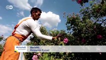 Bulgarien: Ernte im Tal der Rosen | Wirtschaft kompakt