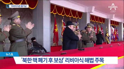 靑 “리비아식 비핵화 불가능”…단계적 해법 주목