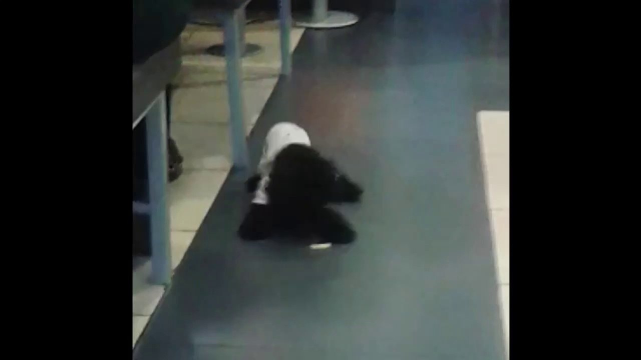 Vietnamese puppy dancing & eating in KFC of Hanoi [Múa rối và ăn kiêng Việt Nam tại KFC của Hà Nội]