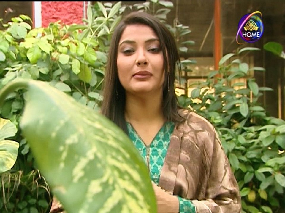 Yadon Kay Rang Geton Kay Sung EP 44