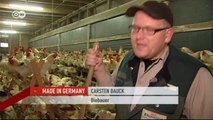 Der Preis der Eier - Rettung männlicher Küken | Made in Germany