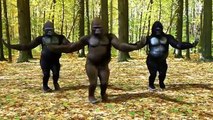 Gorila dance