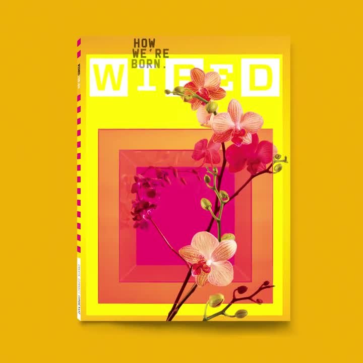 26.04 | Life Issue
