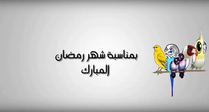 رسالة من القلب الى كل من يهوى طيور الحب - تهنئة رمضان - كل عام وأنتم بخير ٢٠١٨