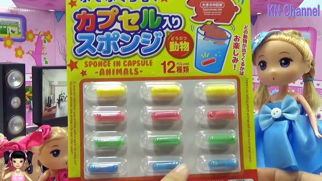 [ALIBABA KIDS] - Đồ chơi nhật bản BÚP BÊ ĐỐ VUI VỀ ĐỘNG VẬT !!! Sponge in capsule Animals カプセル入りスポンジ