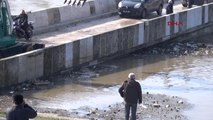 Edirne'de Su Taşkınları Üreticileri Vurdu 2-Hd