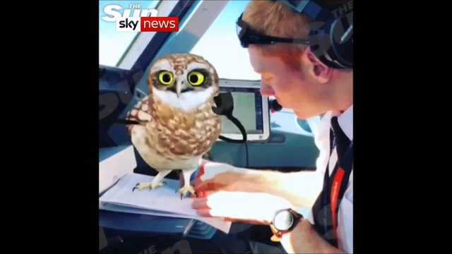 Des pilotes d'avion utilisent Snapchat en vol, ils sont immédiatement suspendus