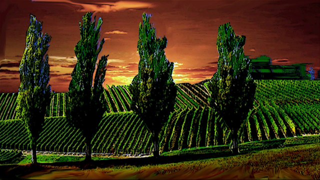 Étienne-Jules Marey, le chasseur de temps