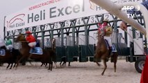 Course de chevaux à Erbil, capitale du Kurdistan irakien