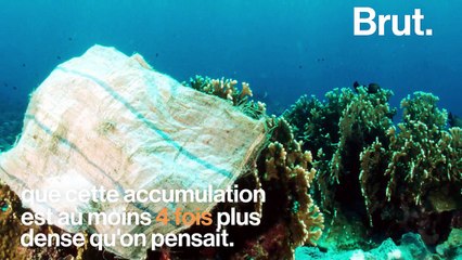 Le "continent de plastique" continue de grandir (et c'est pire que ce que l'on pensait)