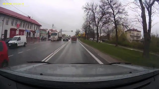 Un chien traverse au passage piéton